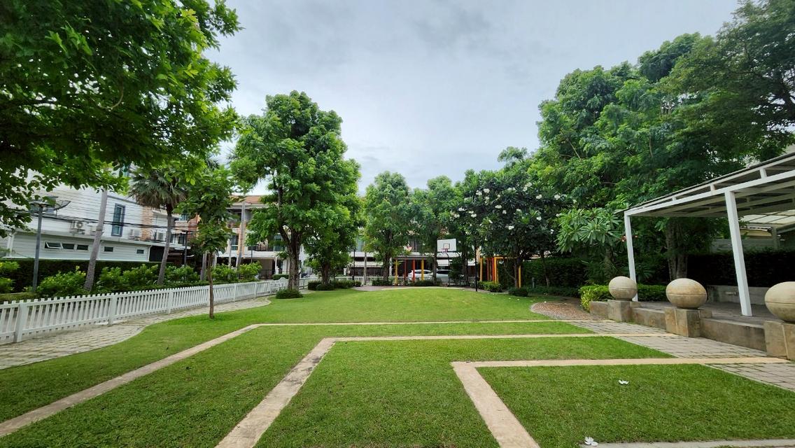 ขาย ม.พลัส ซิตี้ พาร์ค ซ.งามวงศ์วาน 25 (Plus City Park Ngamwongwan 25 ) 17