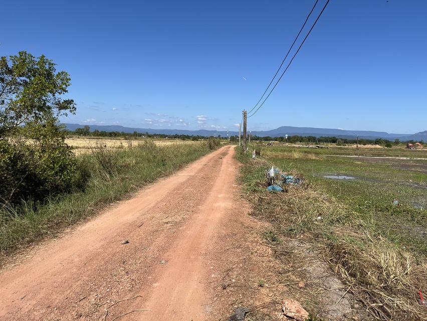 ขายที่ดิน 1 ไร่ มีโฉนด อ.ปากพลี ขายพร้อมโอน 420,000 บาท 14