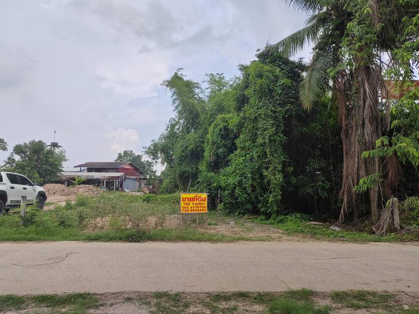 ขายที่ดินเปล่า ติดถนน ทำเลดี อำเภอโพทะเล​ จังหวัดพิจิตร​ 4