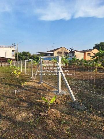 ที่ดิน ขายที่ดินเปล่าถมแล้ว 218 ตร.ว. แถวพุทธมณฑลสาย 2 มีรั้วแล้ว พร้อมมิเตอร์น้ำ+ไฟฟ้า (อยู่ใกล้ MRT หลักสอง) ราคา 4.9  4