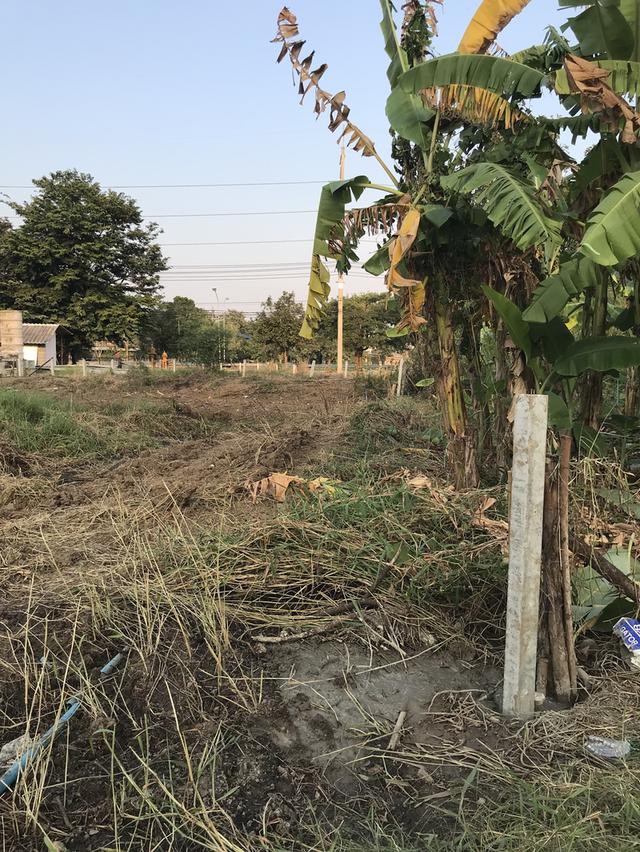 ที่ดินสวยทำเลดีมากติดทางหลวง340สุพรรณบุรี 8