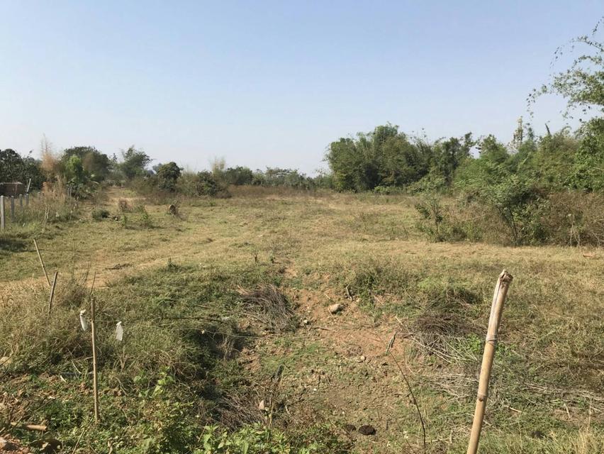 ที่ดินเปล่า 8-1-58 ไร่