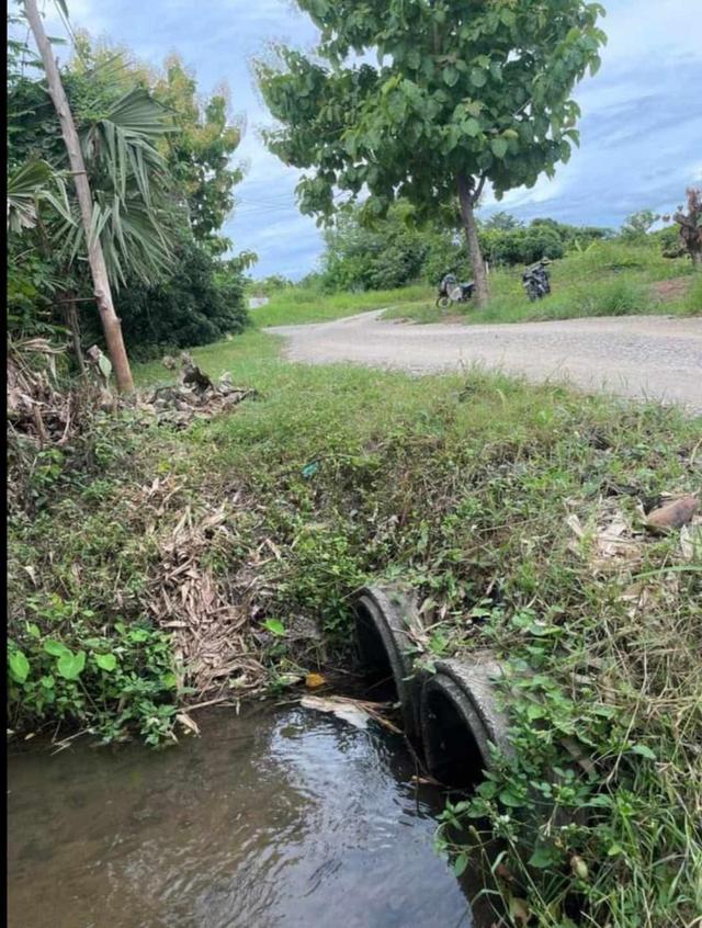🌳ขายที่ดินเจ้าของขายเอง ด่วน📌 7