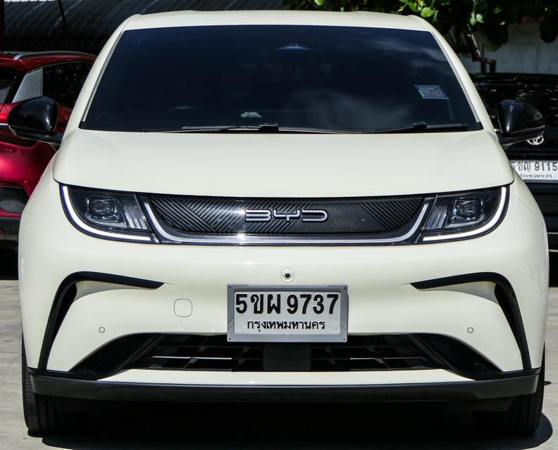 2024  BYD DOLPHIN STD