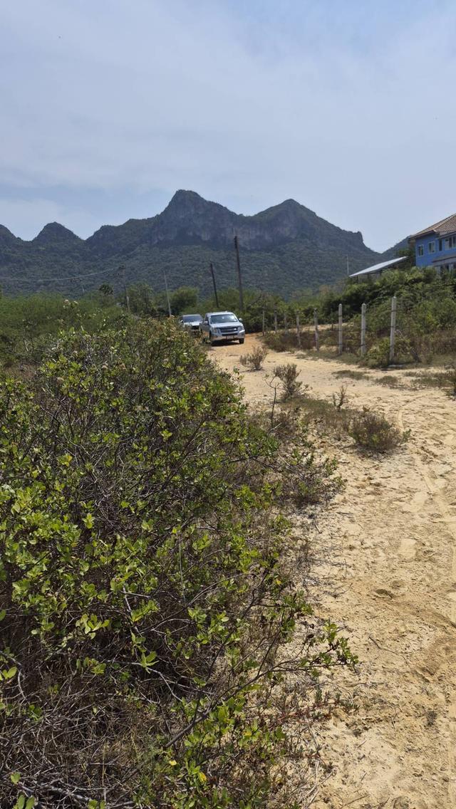 ที่ดินสามร้อยยอด ปราณบุรี 5