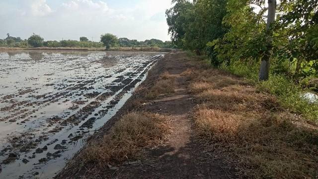 เข้าพรรษาหาทรัพย์ดีประดับบารมี ที่ดิน ลาดหลุมแก้ว บ่อเงินปุทม ใ5ไร่ อำเภอลาดหลุมแก้ว ปทุมธานี ลาดหลุมแก้วไร่ละ 1ลบ. โทร  1