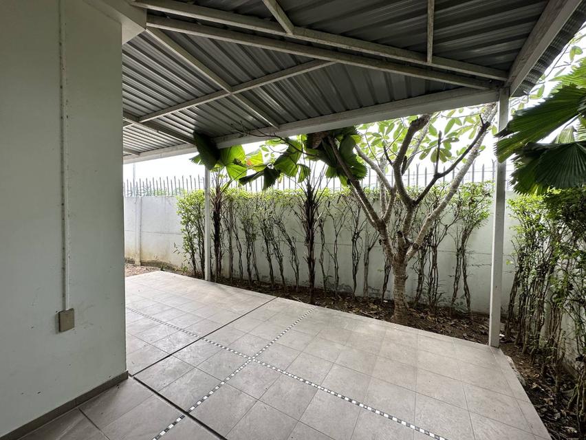 ขายด่วน!!(ต่อรองได้) บ้านเดี่ยว ไลฟ์ อิน เดอะ การ์เด้น สวนเสือ-ศรีราชา พื้นที่ 53.9 ตร.ว. ขนาด 165 ตร.ม. 4