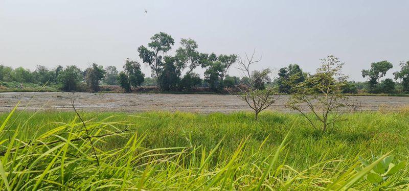 ขายที่ดิน รังสิตคลอง 13 ติดถนน ไร่ละไม่ถึงล้านโทร 061-9419-639 6