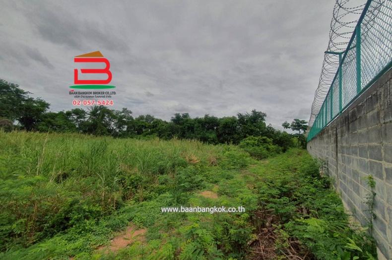 ที่ดินเปล่า คูบางหลวง-ลาดหลุมแก้ว เนื้อที่ 3-1-56 ไร่ ติดบจก.ชาญนครวิศวกรรม ตำบลคูบางหลวง อำเภอลาดหลุมแก้ว จังหวัดปทุมธานี