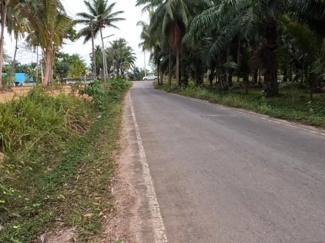 ตุนทรัพย์เก็บขายเก็งกำไร ขายที่ดินใกล้หาดบางเบิด ติดถนนทางหลวง ใกล้หาด1 กม. +ขนาดที่ดิน 50-1-18 ไร่ โฉนดครุฑแดง พร้อมโอน 2