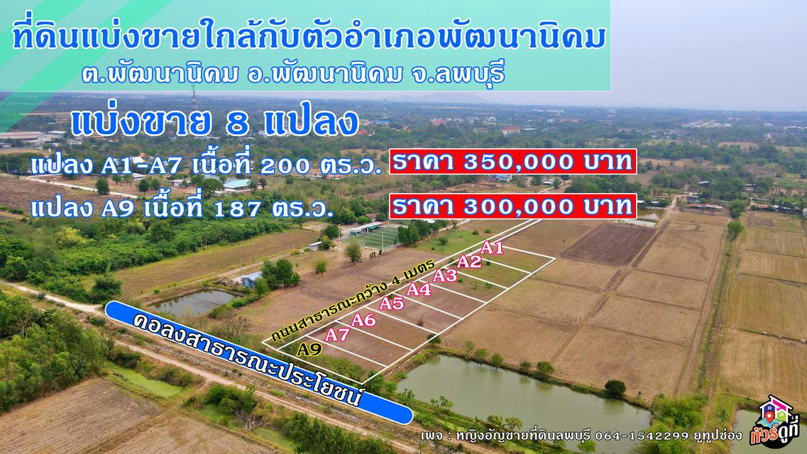 รูป ที่ดินแบ่งขาย ย่านตัวอำเภอพัฒนานิคม ลพบุรี 200 ตรว.ราคา 350,000 เท่านั้น 1