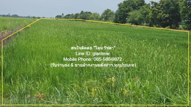 ที่ดิน ขายที่ดินทุ่งนาติดถนน ต.คลองเปร็ง อ.เมืองฉะเชิงเทรา 13-0-24.9 ไร่ 6.25 ล้านบาท area 5225 ตร.ว. 6250000 B. ใกล้ สถ 5