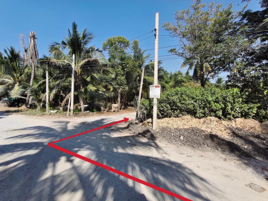 ขายที่ดิน บ้านและสวนมะพร้าว 5