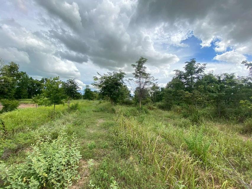 ขายที่ดิน เมืองพล จังหวัดขอนแก่น 2