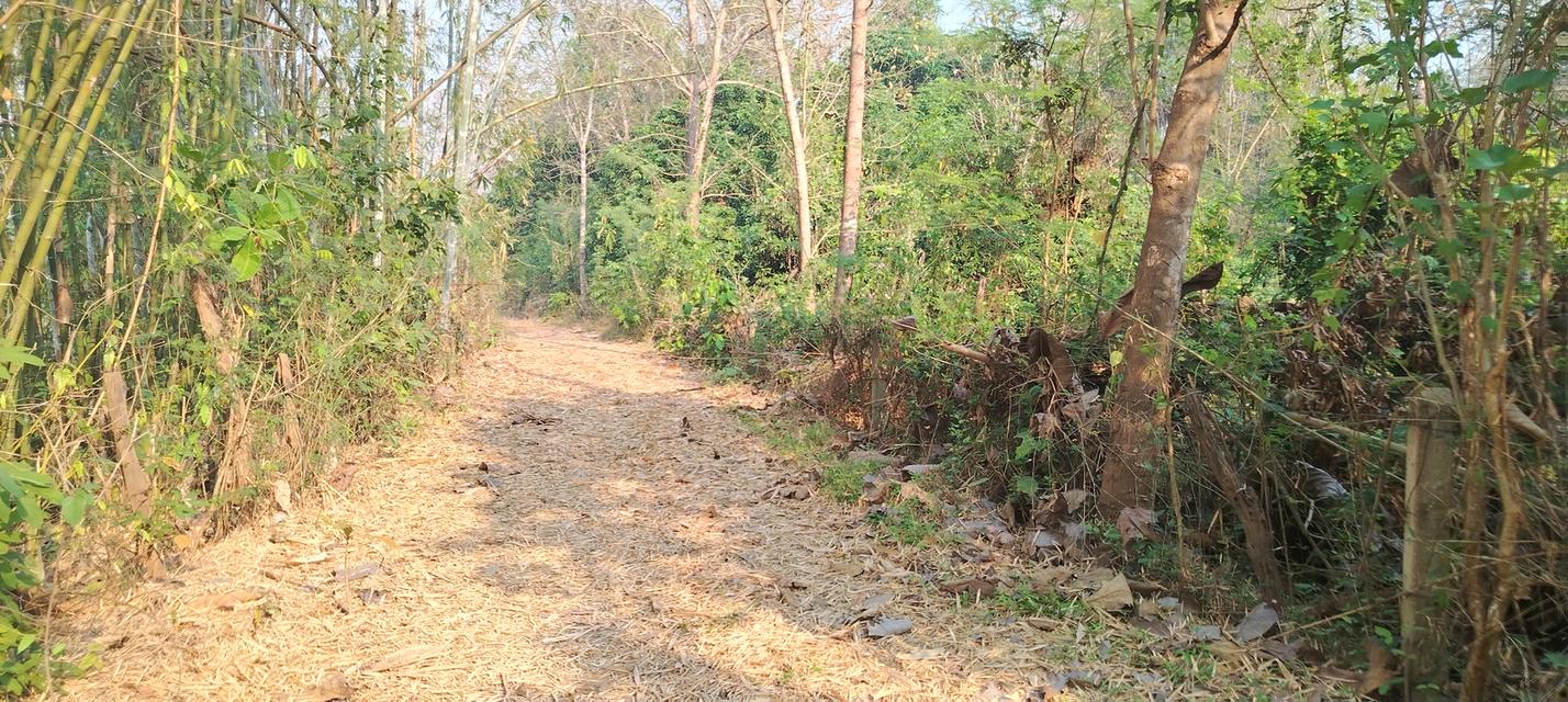 ที่โฉนดวิวเขา ห่าง อบต 1กิโล ที่หน้ากว้างติดถนน80เมตรวิวสวยมากใกล้ชุมชน 14