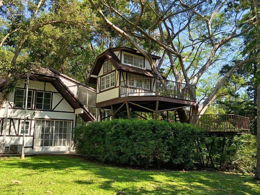 ขาย ที่ดิน ทำเลมาแรงบ้านพักตากอากาศ 209 ตร.วา ติดคลองมวกเหล็ก ใกล้บ้านพักเดลี่โฮม ปากช่อง. 4