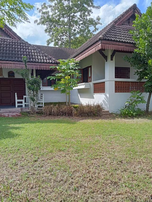 ขายบ้านชั่นครึ่ง ในโครงการกาดฝรั่ง 2