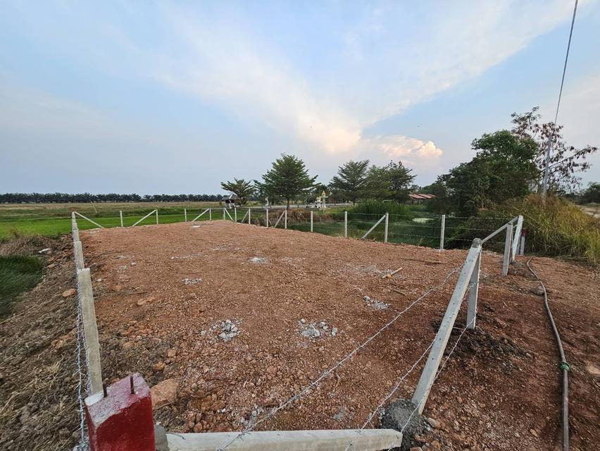 ที่ดินจังหวัดฉะเชิงเทรา 4