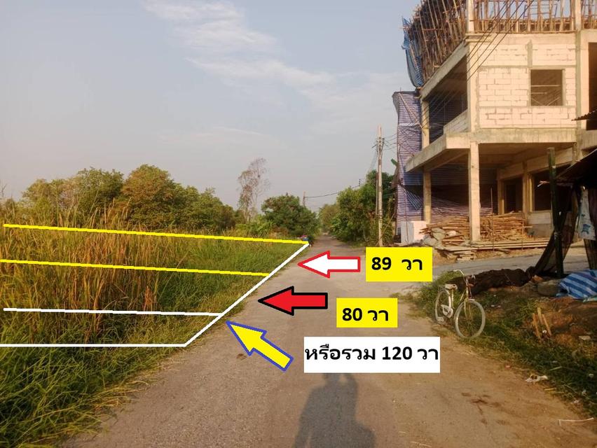 ขายที่ดินทำเลเด่น 120 วาเหมาะสร้างบ้าน อาคารสำนักงานสวยๆ ทำเลใกล้พหลโยธิน สายไหม จัดสรร น้ำไฟถนนครบหมด หาไม่ได้ พหลโยธิน 54/1แยก8-4-3  สวยมากทั้งราคา 1