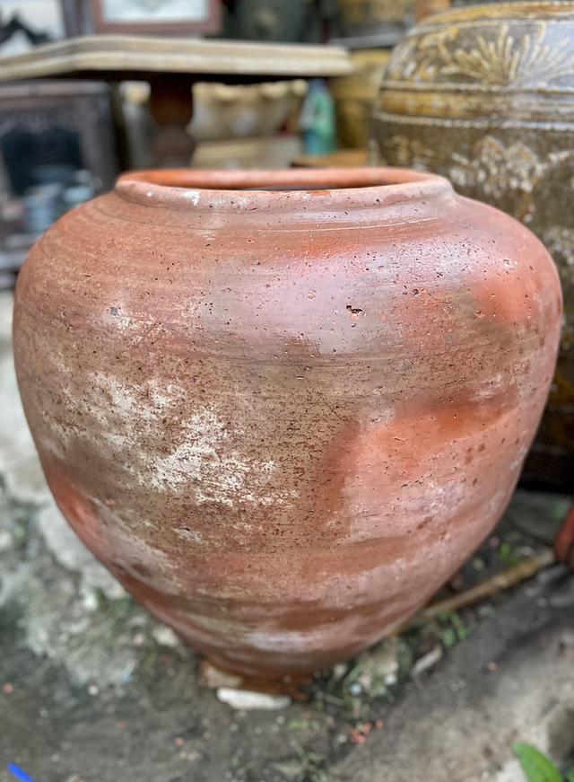 โอ่งดินแดงอยุธยา ใบใหญ่ ขนาด50ซม โอ่งดินเผาโบราณ 6