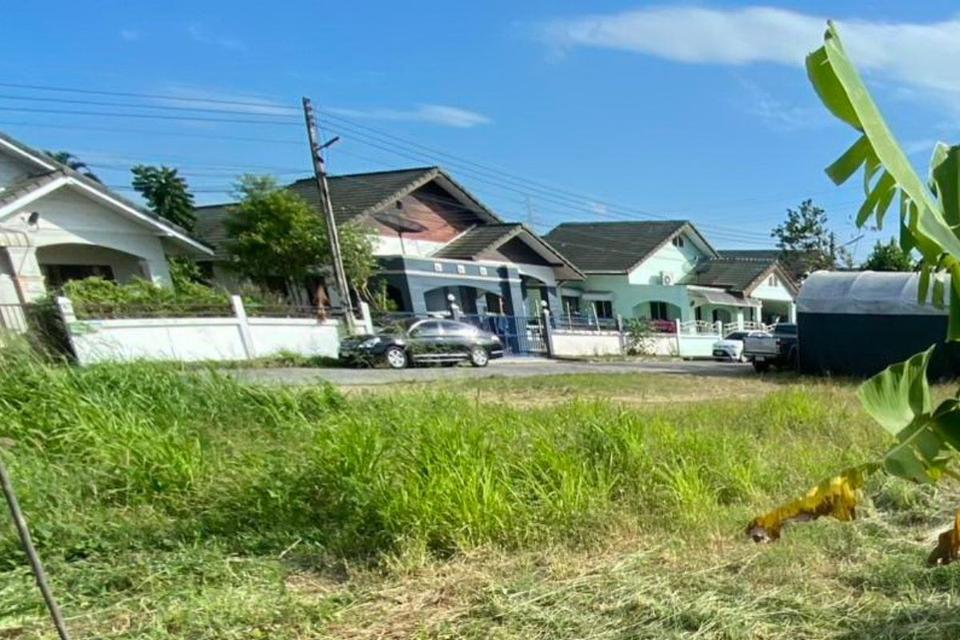 ขายที่ดินศรีราชา 241 ตร.วา  ถนนเก้ากิโล ใกล้โรงเรียนอัสสัมชัญ ชลบุรี 4