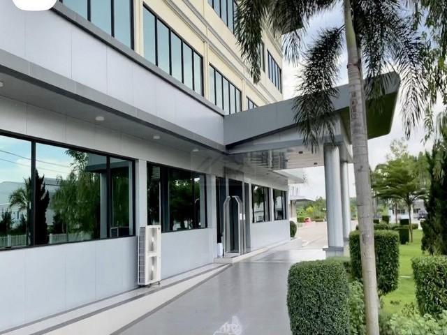 ขาย โรงงาน พร้อมที่ดิน 58 ไร่ ชลบุรี บ่อทอง สภาพใหม่มาก พร้อมใบอนุญาติ รง.4 ใกล้วัดบ่อกวางทอง
