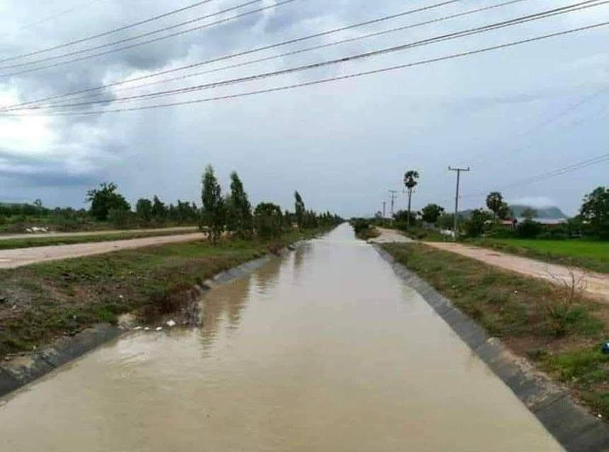 ขายที่ดินปลูกบ้านได้ มีน้ำ ไฟฟ้า ติดถนน ติดคลอง  10