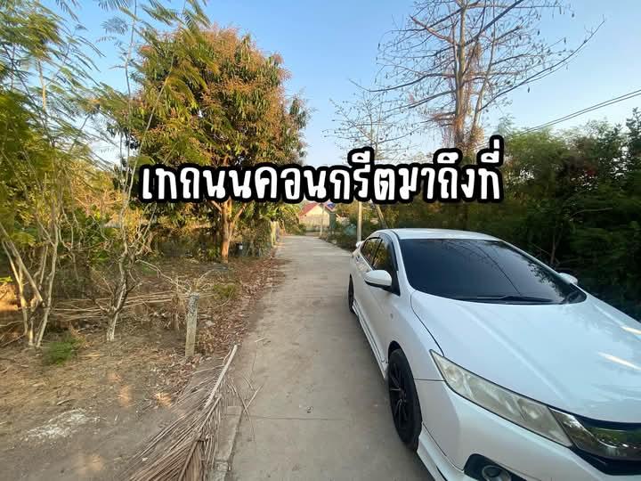 ขายที่ดินเปล่า 2