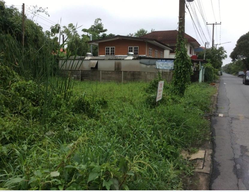 ที่ดินเปล่า​ติดถนนดำ 4