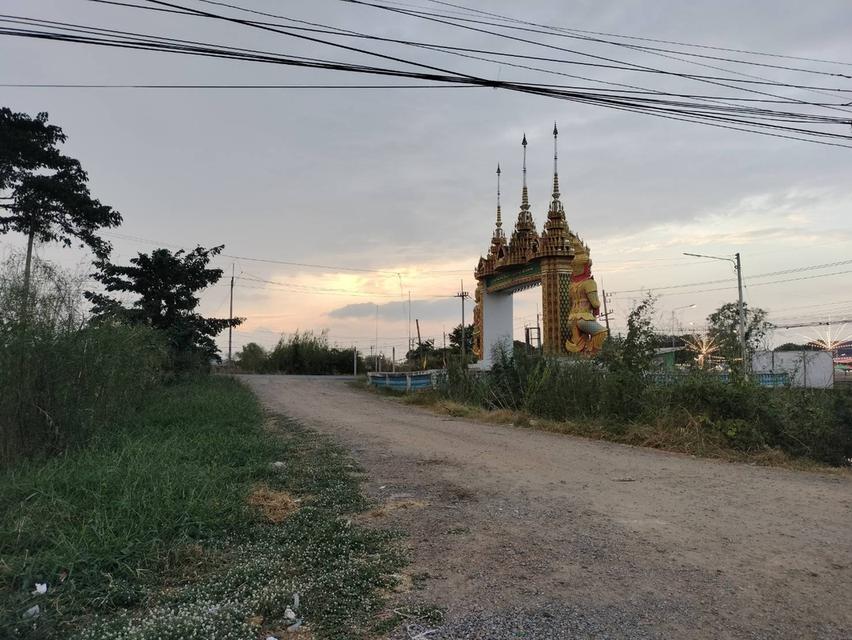 ขายที่ดินสวย 1-3-93 ไร่ ทำเลดี ติดถนนใหญ่ เสนา บางบาล ใกล้ตัวเมืองจังหวัดพระนครศรีอยุธยา 3