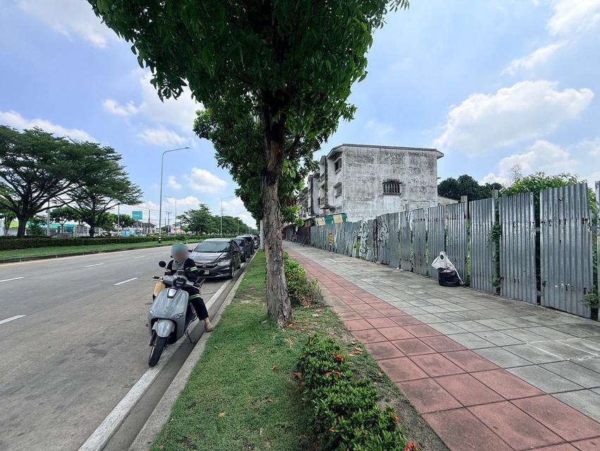 ขายด่วนที่ดิน 704 ตรว ติดถนนพุทธมณฑลสาย 2 ถนนพุทธมณฑลสาย 2 เขตบางแค กทม 12