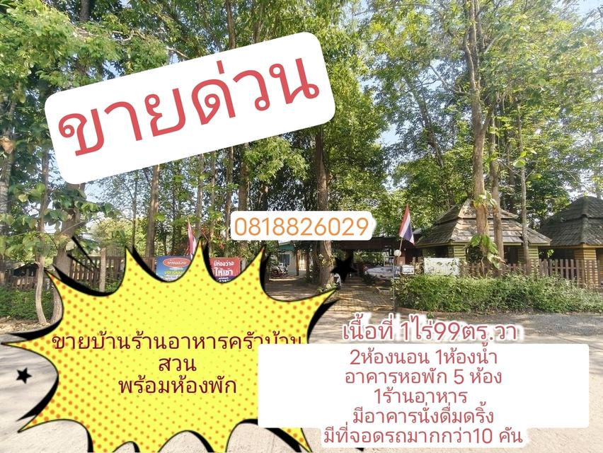 ที่ดินพร้อมสิ่งปลูกสร้างพอพัก ค้านอาหารบ้านพัก อ.เมืองจ.พะเยา 1