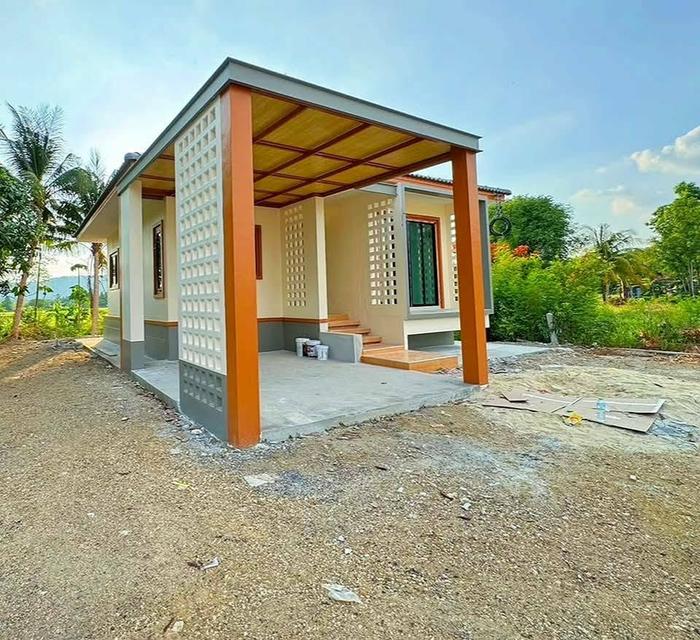 บ้านพร้อมที่ดิน แถมฟรีที่ดินอีก1ผืน 3