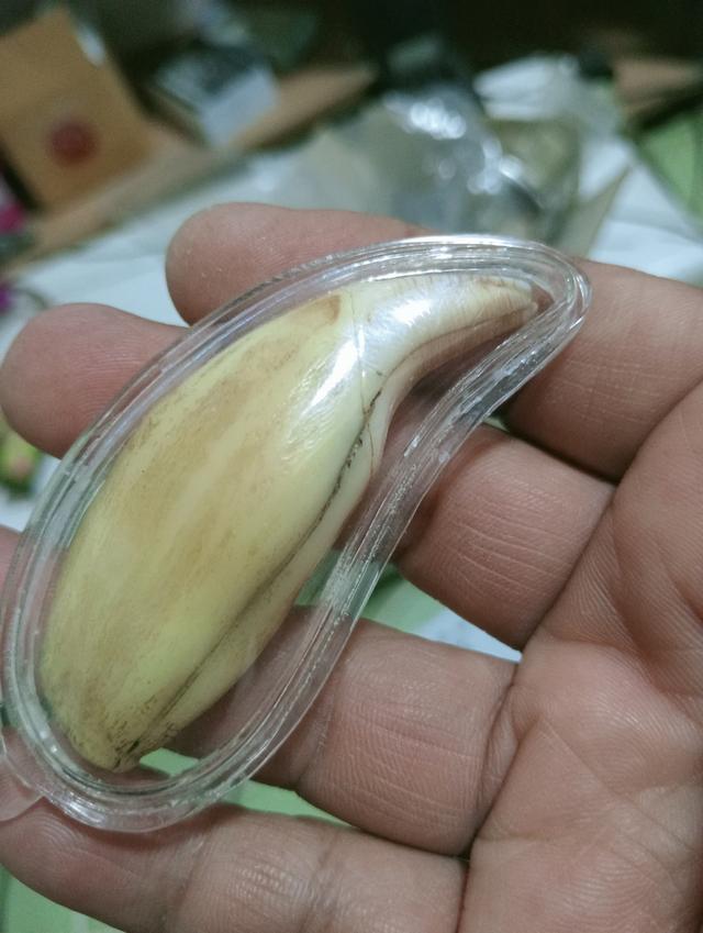 พระเครื่อง ไม่ทราบที่