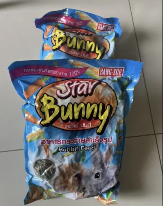 Star bunny 2