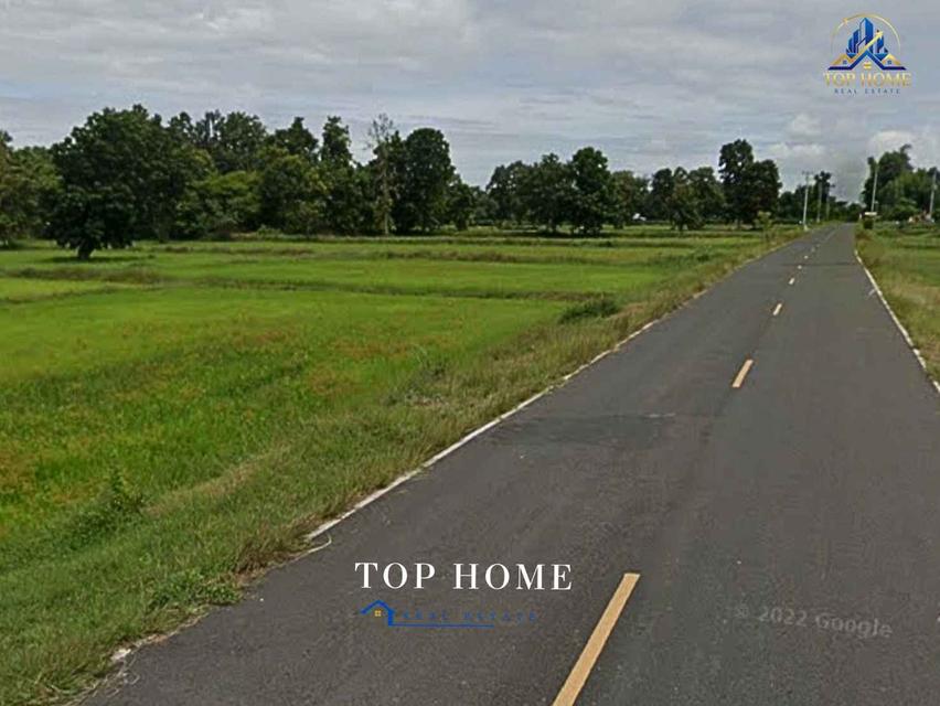 ขายด่วน! ที่ดินแปลงสวยติดถนน ตำบลบ้านยาง อำเภอลำปลายมาศ จังหวัดบุรีรัมย์ 5