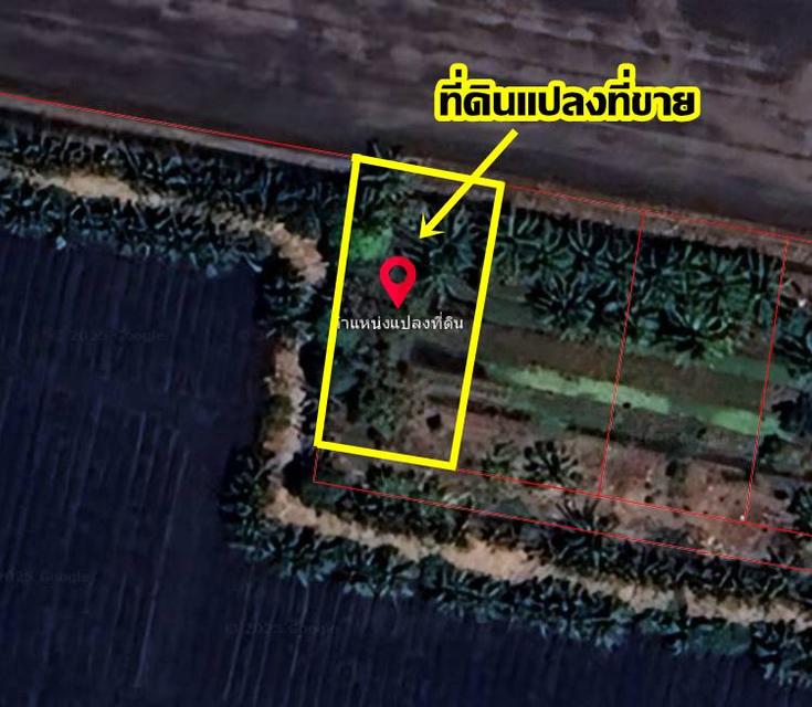 ขายที่ดินเปล่า ถนนเลียบคลองขุนศรี ตำบลไทรใหญ่ อำเภอไทรน้อย จังหวัดนนทบุรี 6
