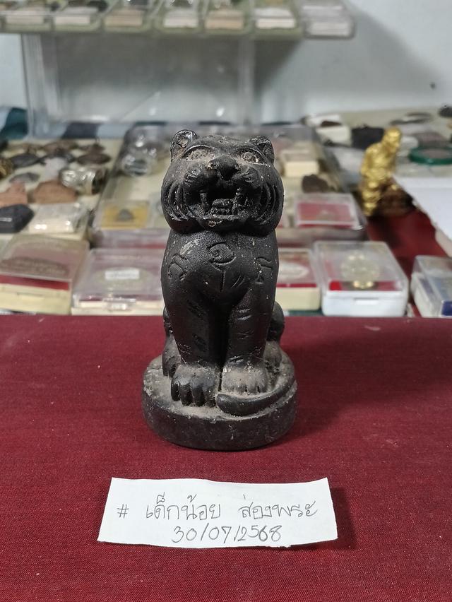 เสือ หลวงพ่อก้าน จังหวัดชลบุรี