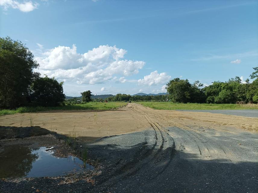 ขายที่ดิน ราคา3,980บาท/ตร.ว. ต.ป่าป้อง อ.ดอยสะเก็ด จ.เชียงใหม่ 2