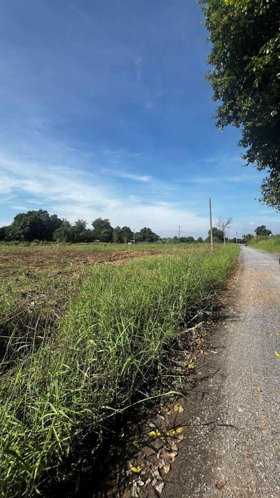 ขายที่ดินเปล่าถมแล้ว 4 ไร่ 73 ตารางวา ทำเลดีติดโรงเรียนเซนต์มารีอา – คุ้มเกล้า 14/7 มีนบุรี