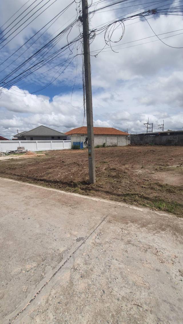 ขายที่ดินหนองปรือ พัทยา 224 ตรว. ถมแล้วซอยเขาตาโล11 ใกล้หาดจอมเทียน7กม. อ.บางละมุง ชลบุรี 1