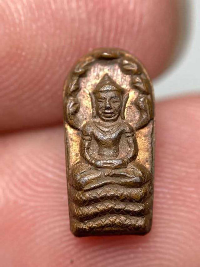 ปรกจ้อย หลวงปู่ทิม อิสริโก