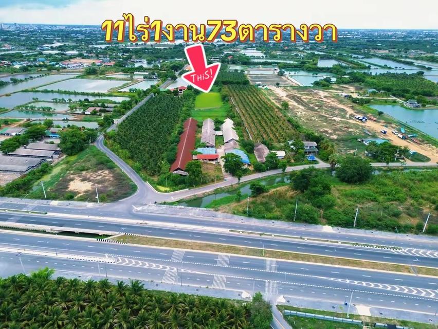 ขายทีดินจังหวัดนครปฐมถนนศาลากลางจังหวัด 1