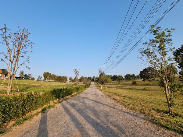 ขายที่ดิน จัดสรร อำเภอแม่จัน จังหวัดเชียงราย ราคาถูก 7 แปลง วิวภูเขา ใกล้สถานที่ท่องเที่ยว โทร 095-896-5659 6