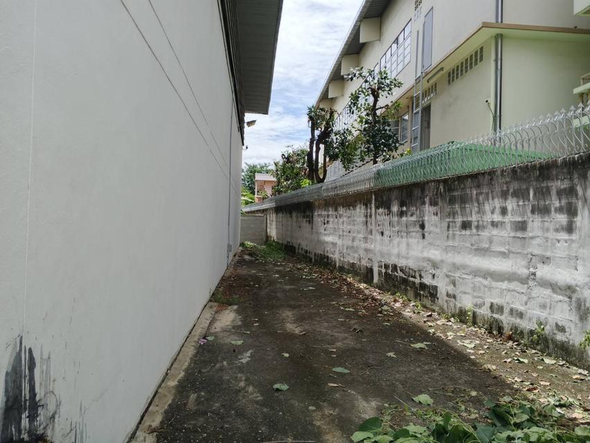 ขายที่ดินพร้อมสิ่งปลูกสร้าง เนื่อทีา603ตารางวา 2