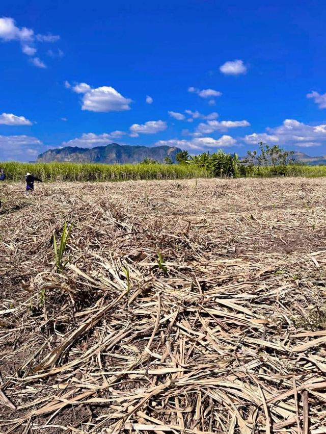 ขายที่ดิน แบ่ง 1 แปลง เจ้าของขายเอง ภูผาม่าน ขอนแก่น 4