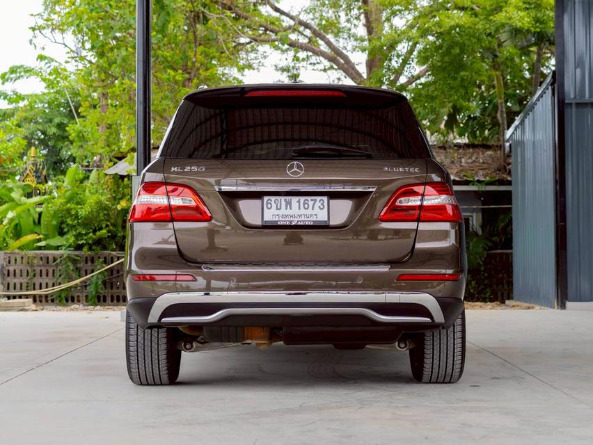 Benz ML250  Bluetec 4 Matic 2013 5
