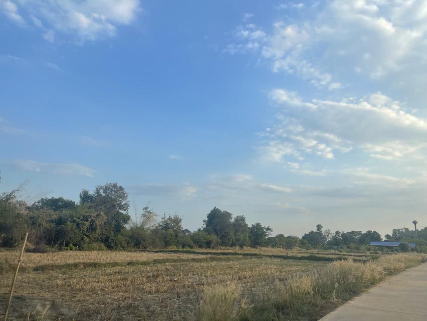 ขายที่ดินในเขตเทศบาล 1 ไร่ 2 งาน 76 ตรว. 1