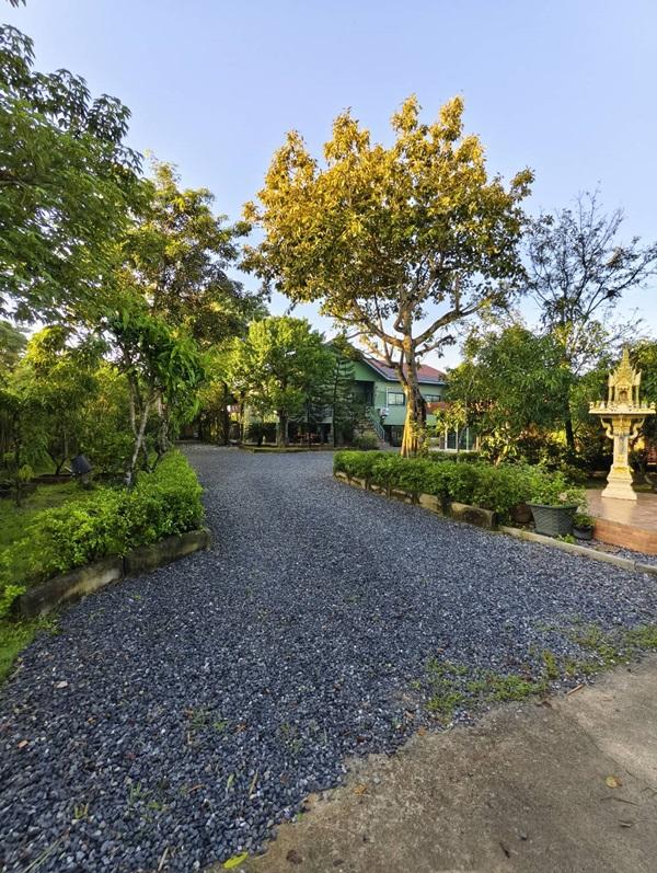 ขายบ้านสวน พร้อมที่ดิน 3 ไร่ อ.หนองเสือ จ.ปทุมธานี น้ำไม่ท่วม พร้อมเข้าอยู่ โทร 086-7777215 เจ้าของขายเอง 6