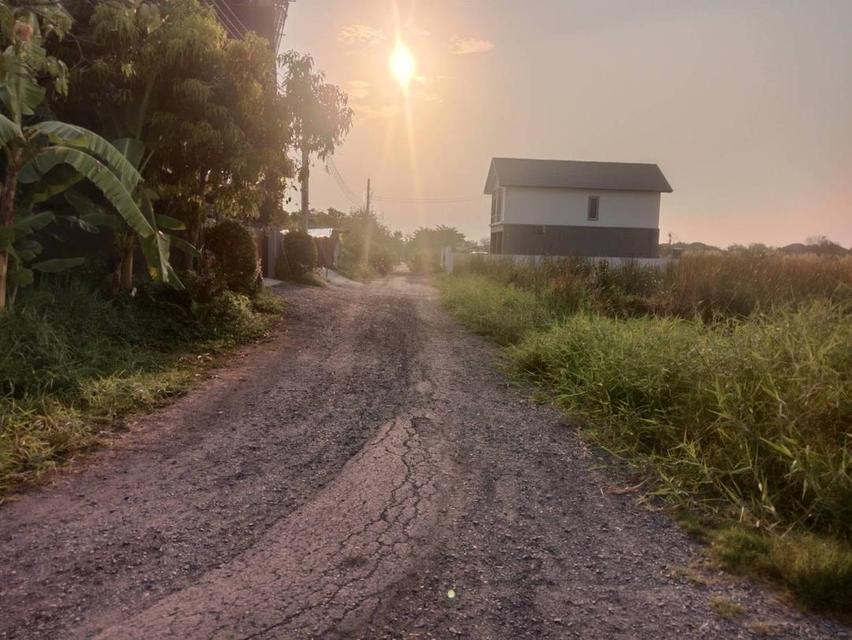 ขายที่ดินจัดสรรพิเศษแปลงจัดสรรพหลโยธิน 54/1 แยก 8-4-3 (ซอยตาลเดี่ยว) แปลงพิเศษ 40 ตารางวา ไม่ถึงล้าน 9.6 แสนทำพิเศษมาเพื่อทุกท่านสามารถจับจองซื้อได้นำ 11